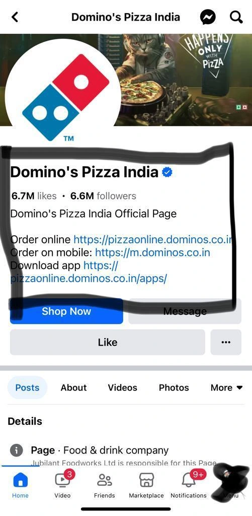 dominos-pizza-india-facebook
